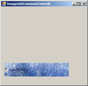 Load image to RadioButton
